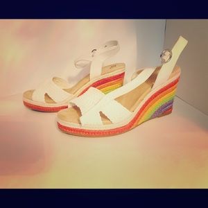Rainbow Wedges